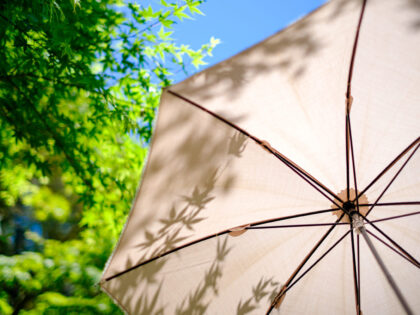 White,Parasol,In,The,Summer,Sunshine