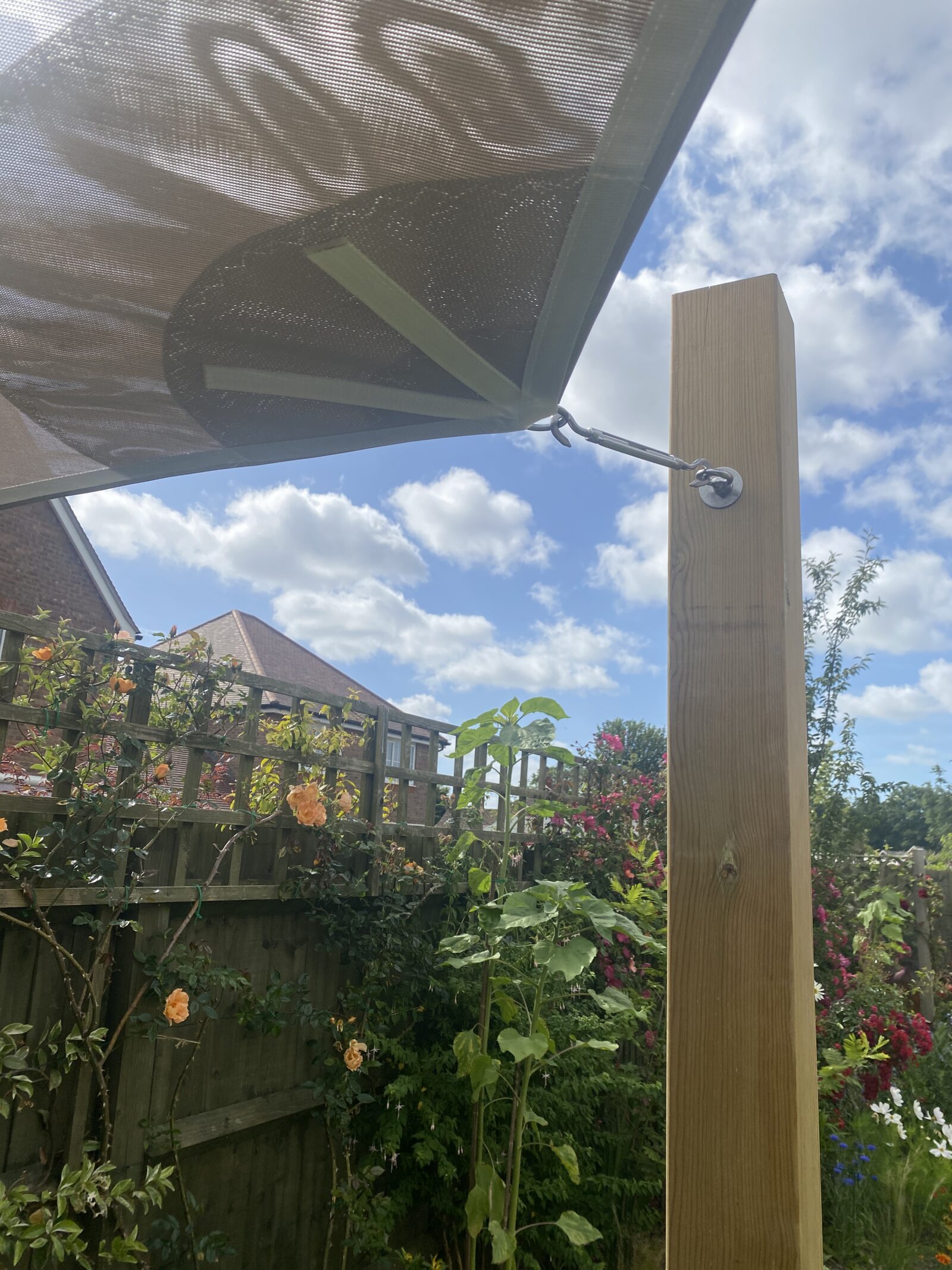 BASSET, ROGER 5 SIDED SAIL SHADE (18)